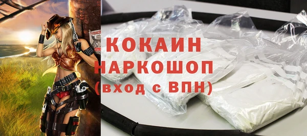 сатива Тайга