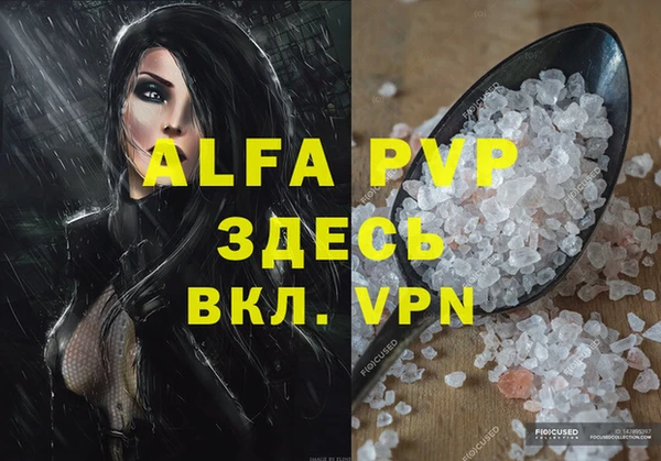 прущие грибы Бородино