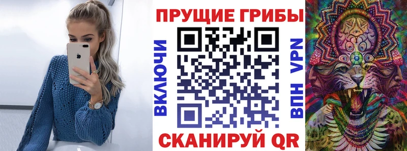 Галлюциногенные грибы Magic Shrooms  это официальный сайт  Западная Двина 